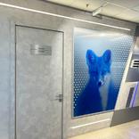 выставочный стенд, функциональное пространство для втб