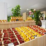 выставочный стенд, стенд для краснодарского края