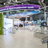 выставочный стенд, экспозиция краснодарского края