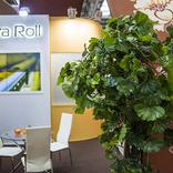выставочный стенд, стенд для компании nova roll