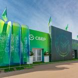 выставочный стенд, shalet for sber