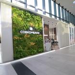 выставочный стенд, stand for sovkombank