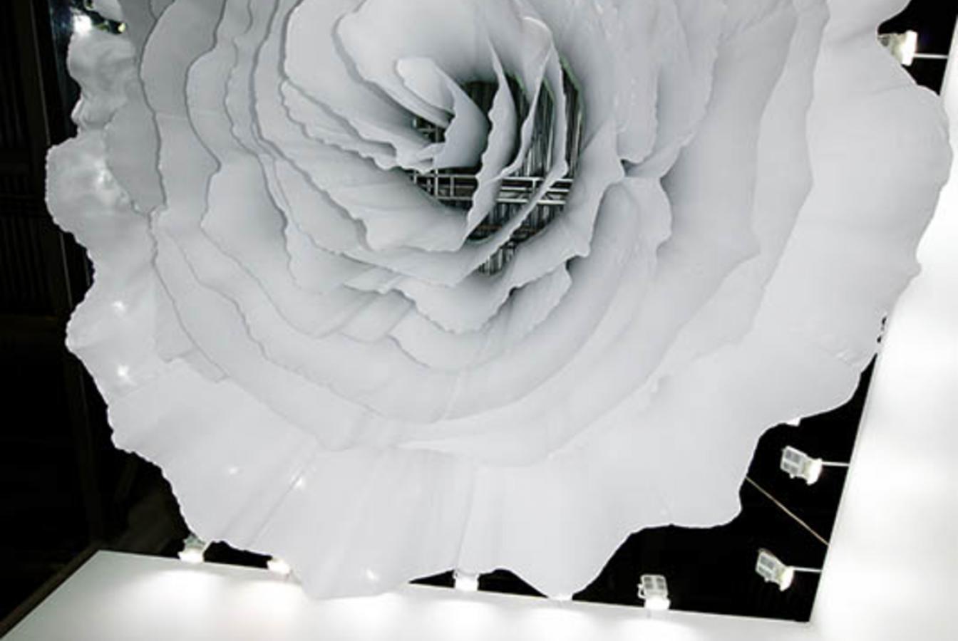 выставочный стенд, стенд для helen seward