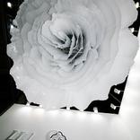 выставочный стенд, стенд для helen seward