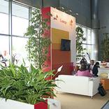 выставочный стенд, internet points and lounge zones for 21st world petroleum congress