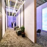 выставочный стенд, stand for vtb 