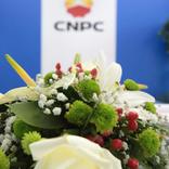 выставочный стенд, стенд для компании cnpc china