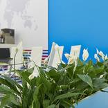 выставочный стенд, стенд для компании engie