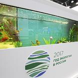 выставочный стенд, стенд для республики татарстан 