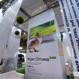 выставочный стенд, stand for agrovitex