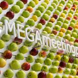 выставочный стенд, стенд для компании ikea mega