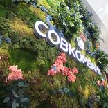 выставочный стенд, stand for sovkombank