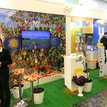 выставочный стенд, stavropol region week at russian state duma