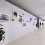 выставочный стенд, stand for krasnodar region