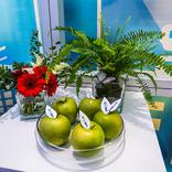 выставочный стенд, stand for soyuz company