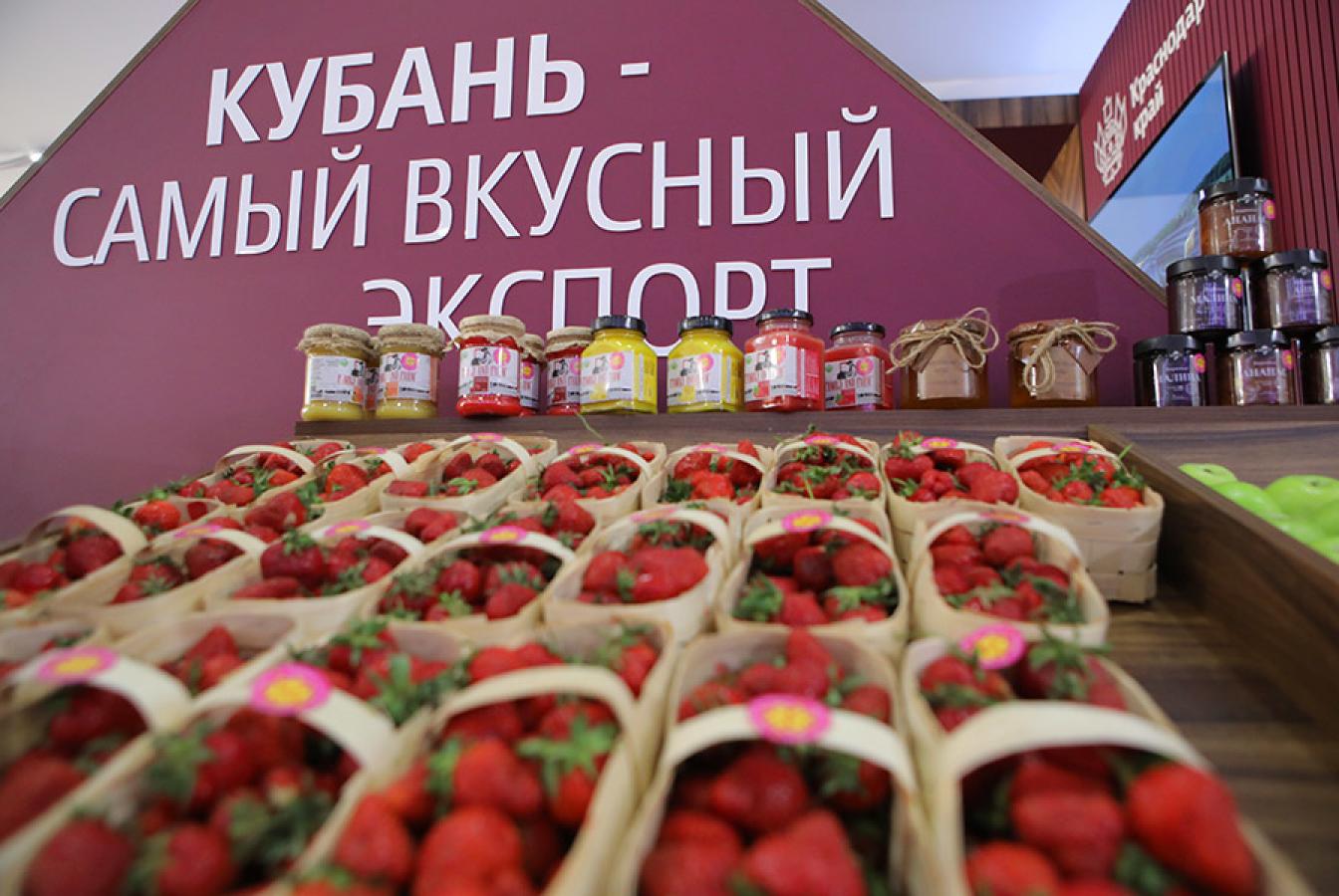 выставочный стенд, stand for krasnodar region