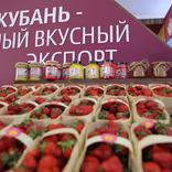 выставочный стенд, stand for krasnodar region