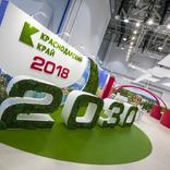 выставочный стенд, экспозиция краснодарского края