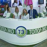 выставочный стенд, стенд для компании "тополэко"