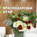 выставочный стенд, экспозиция для краснодарского края 