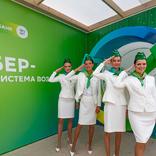 выставочный стенд, шале для сбер