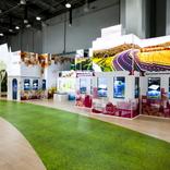 выставочный стенд, krasnodar region exposition