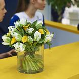 выставочный стенд, стенд для компании отеко