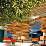 выставочный стенд, stand for rose group