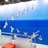 выставочный стенд, стенд для компании «спасские ворота»