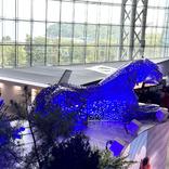 выставочный стенд, exposition for vtb bank