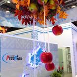 выставочный стенд, стенд для нк "русснефть"