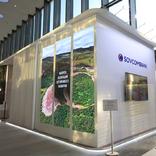 выставочный стенд, stand for sovkombank