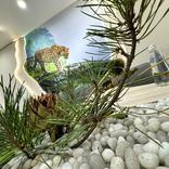 выставочный стенд, exposition for vtb bank