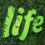 выставочный стенд, stand for pioneer development company