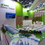 выставочный стенд, stand for ilim company