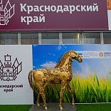 Stand for Krasnodar Region