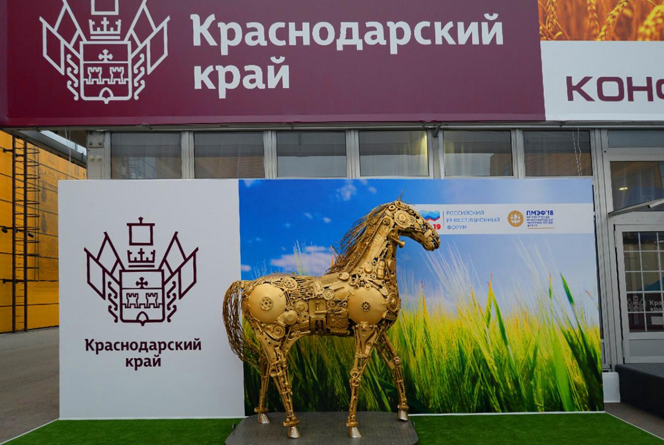 выставочный стенд, stand for krasnodar region