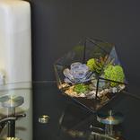 выставочный стенд, stand for lider invest 