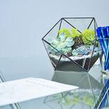 выставочный стенд, stand for lider invest company