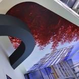 выставочный стенд, stand for pioneer development company