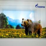 выставочный стенд, стенд для оао "газпром"
