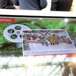 выставочный стенд, стенд для компании rockwool