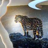 выставочный стенд, exposition for vtb bank