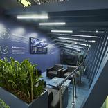 выставочный стенд, stand for lidertrans company