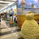 выставочный стенд, stavropol region week at russian state duma
