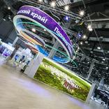 выставочный стенд, экспозиция краснодарского края