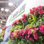 выставочный стенд, stand for topol-eco company