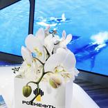 выставочный стенд, stand for rosneft 