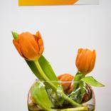 выставочный стенд, стенд для орматек