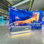 Functional space for VTB